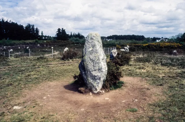 Menhire in Carnac