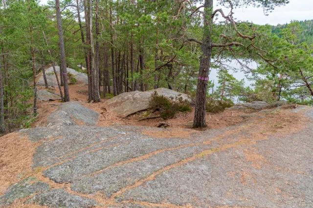 Through the wilderness of Tiveden National Park