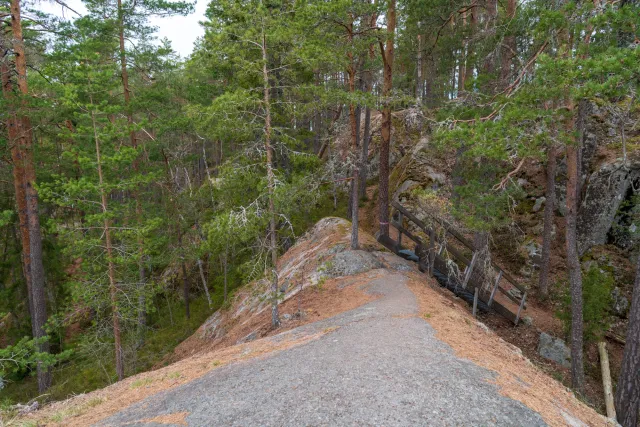 Through the wilderness of Tiveden National Park