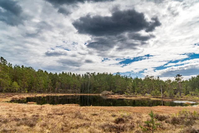 Große Seen und kleine Teiche liegen an den verschlungenen Pfaden durch den Tiveden Nationalpark