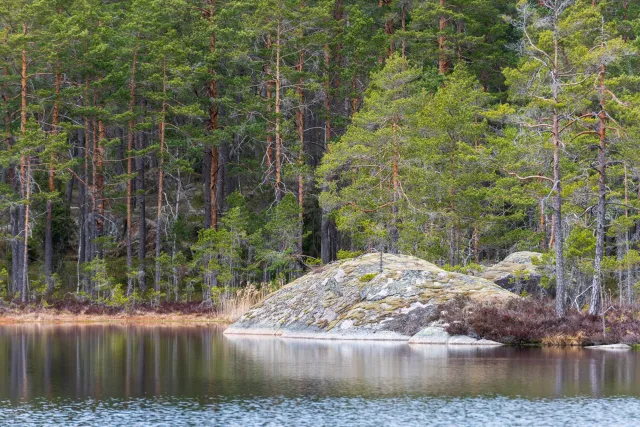 Große Seen und kleine Teiche liegen an den verschlungenen Pfaden durch den Tiveden Nationalpark