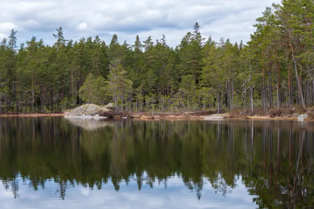 Große Seen und kleine Teiche liegen an den verschlungenen Pfaden durch den Tiveden Nationalpark