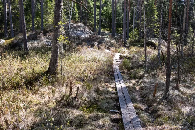 Through the wilderness of Tiveden National Park