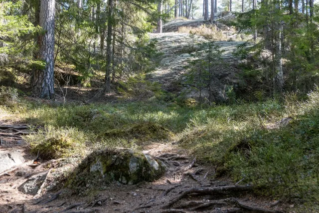 Through the wilderness of Tiveden National Park