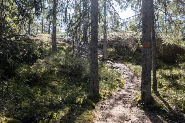 Through the wilderness of Tiveden National Park