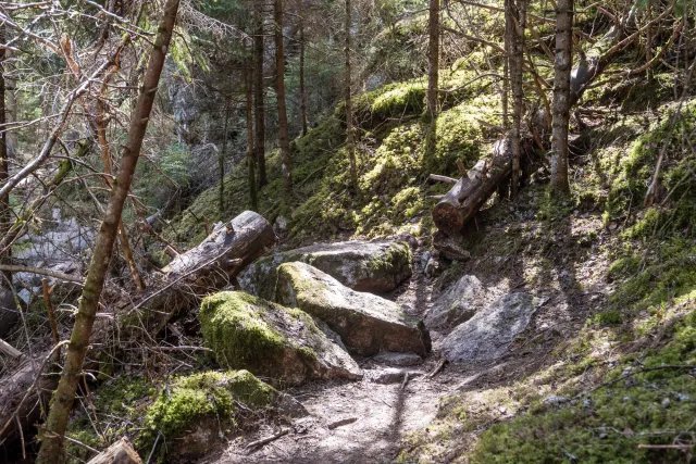 Und weiter geht es nach kurzen Pausen am See in die beeindruckenden Felsformationen des Tiveden Nationalparks.