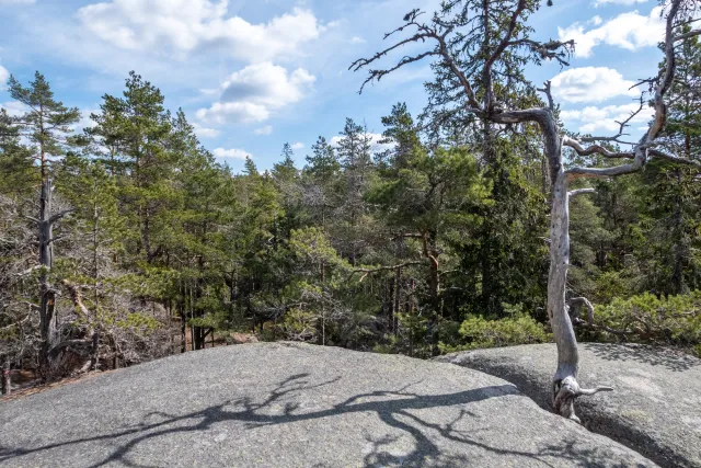 And after short breaks at the lake, we continue into the impressive rock formations of the Tiveden National Park.