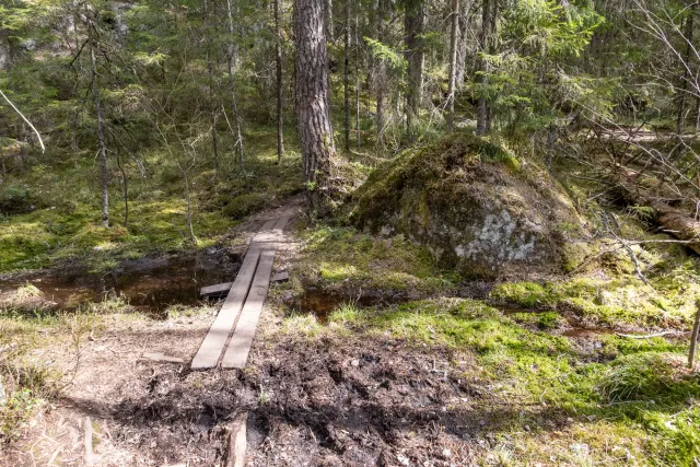 Und weiter geht es nach kurzen Pausen am See in die beeindruckenden Felsformationen des Tiveden Nationalparks.