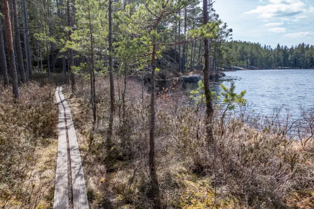 Large lakes and small ponds line the winding paths through Tiveden National Park