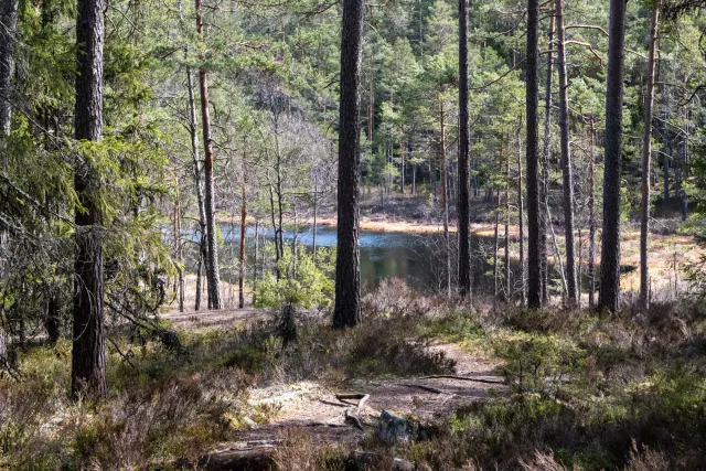 Und weiter geht es nach kurzen Pausen am See in die beeindruckenden Felsformationen des Tiveden Nationalparks.