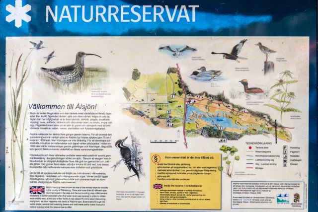 Ålsjön nature reserve