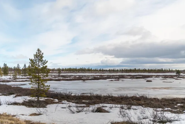 Am Inarijärvi-See