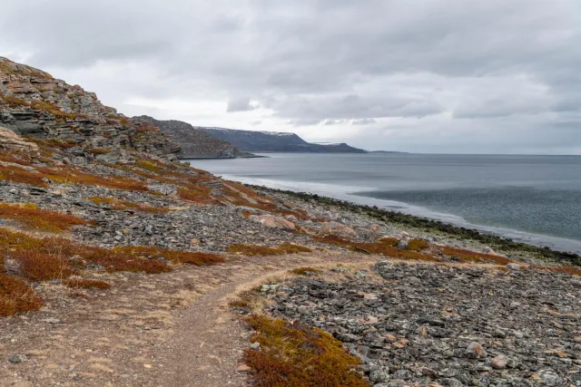 The coastal paths at the Varangerfjord in Ceavccageađge (Mortensnes)