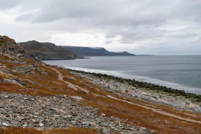 Die Küstenwege am Varangerfjord in Ceavccageađge (Mortensnes)