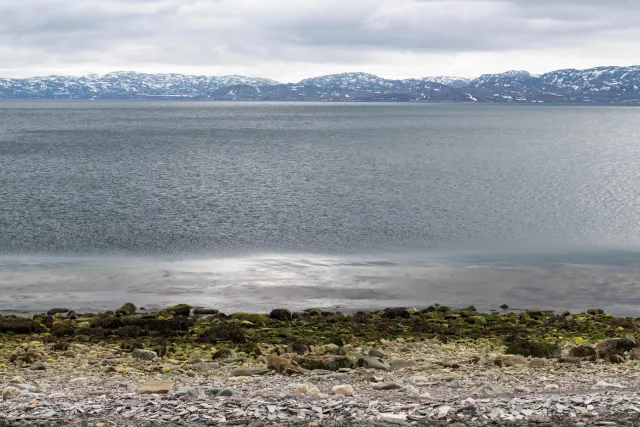 The coastal paths at the Varangerfjord in Ceavccageađge (Mortensnes)