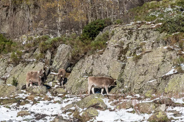 Hiking in the mountains of Andorra