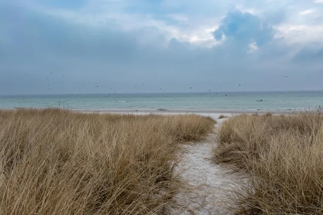 Trail run through the dunes of Dueodde