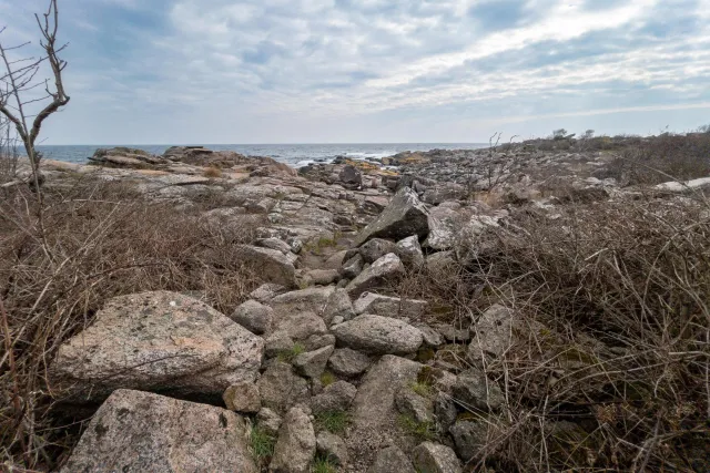 Over the rocks of the rugged coast