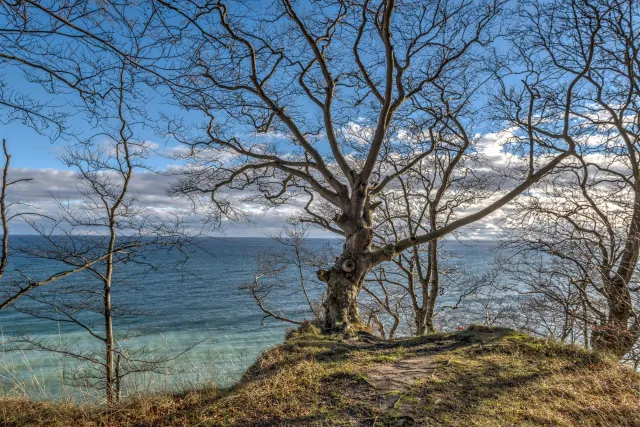 The famous chalk cliffs of Rügen