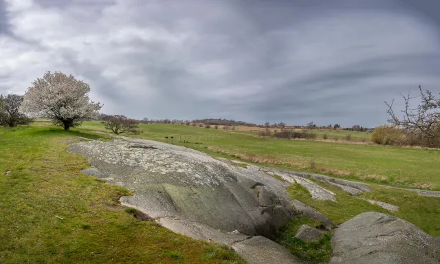 Stone carvings in Madsebakke on rock outcrop at Allinge-Sandvig