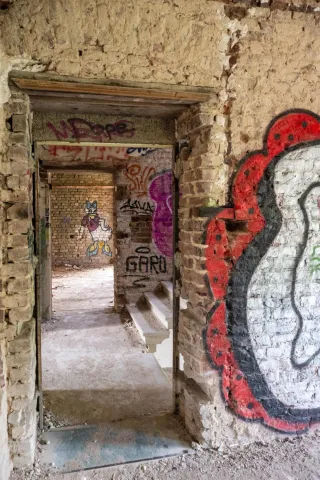 Graffiti von Daisy Duck im Herrenhaus Oppenheim am Fühlinger See in Köln