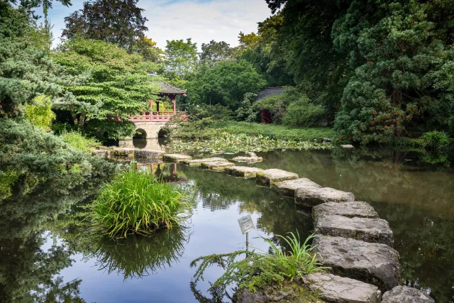 Curving stone paths in reflecting ponds