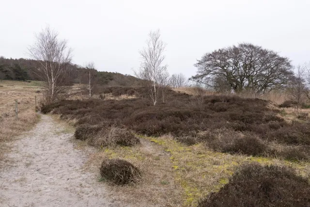 Trail von Bakkerne Havn nach Snogebæk