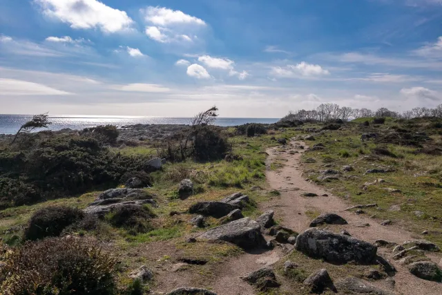 Trail zwischen Svaneke und Snogebæk