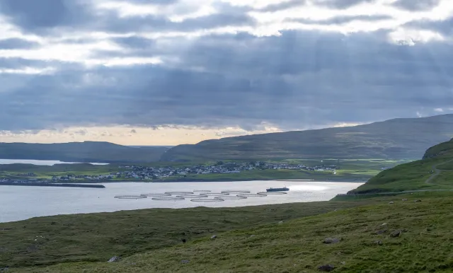 Lachsfarm auf dem Weg nach Skálavik