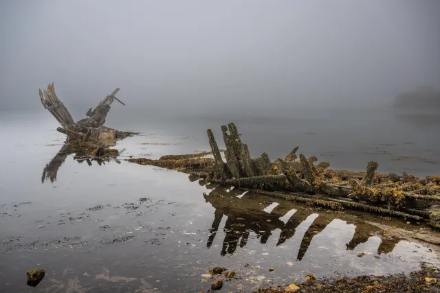 Ship skeletons in the ship graveyard of Rostellec near Crozon in Brittany